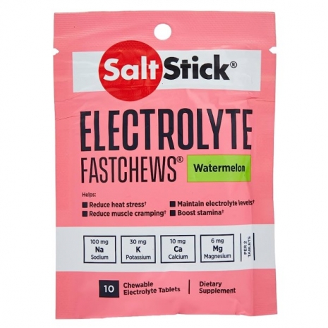 SaltStick Fastchews 10 tabs 