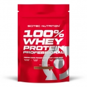 100% Whey Protein Professional 500g 
