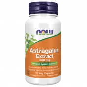 Astragalus Extract 500mg 90vcaps