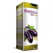 Beringela Slim Limão 500ml
