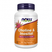 Choline & Inositol 100vcaps