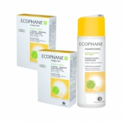 Ecophane Suplemento Fortificante Oferta Champô Fortificante - Pack Comprimidos 2x60unid+200ml