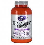 Beta-Alanine Powder 500g